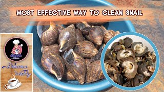 How To Clean SNAILS (Effective way to Remove SNAIL SLIME) #deliciousweekly  #delicious #snailslime