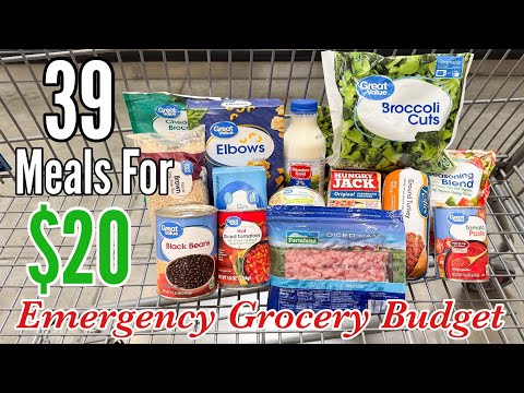 39 Meals For $20 | Quick & EASY Cheap Meal Ideas | Emergency Grocery Budget Shopping | Julia Pacheco
