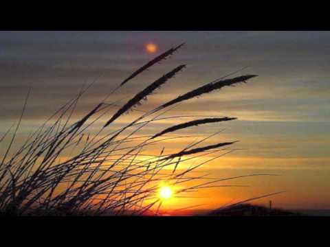 Ocean Gaya - Choices (Original Mix)