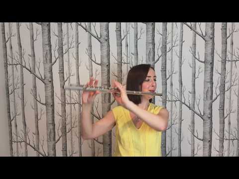 Brahms - Hungarian Dance No 5 - Miriam Flute