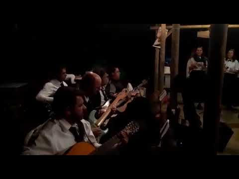 A Terra Aonde Estou - Maria Damião