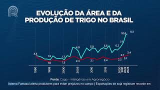 Commodities em Foco: cotações seguem pressionadas no mercado externo