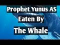 🍁🍁🍁Prophet Yunus AS, Eaten By The Whale🍁🍁🍁