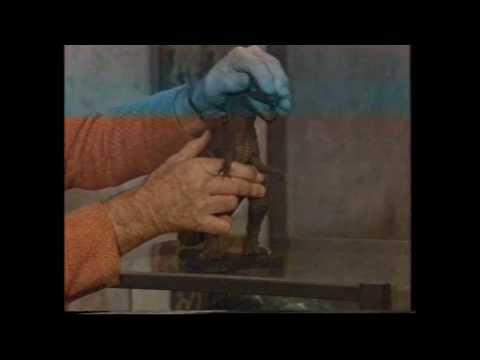 Ray Harryhausen - The Lost Video