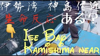 伊勢湾 神島付近 サビキ タイラバ 船釣り 沖釣り Boat fishing Ise Bay Kamishima ...