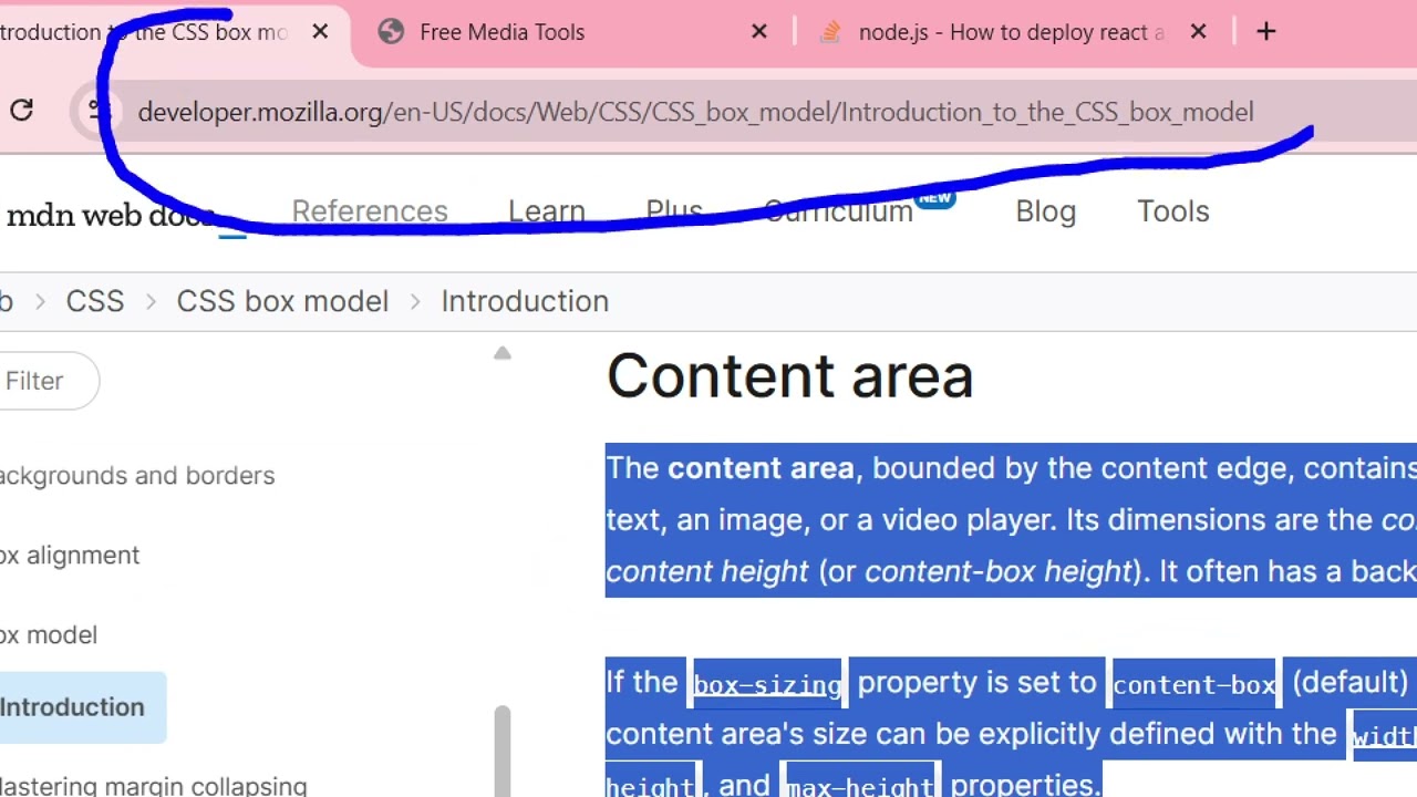 MDN Web Docs REVIEW – The Official Web Dev Bible 📘 Everything You Need to Know!