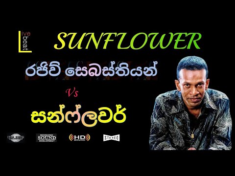 Rajiv Sebasthiyan With Sunflower Old