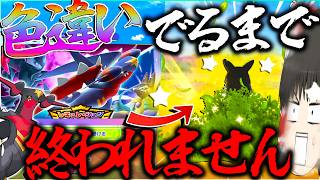 【1000連】色違い出るまでおわれないスカウトガチャで神引きした？！ シーズン3【ポケモンチャンピオンズ・ゆっくり実況】
