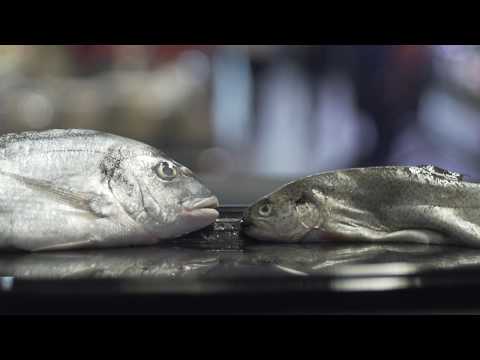 AD Delhaize Willebroek Vis