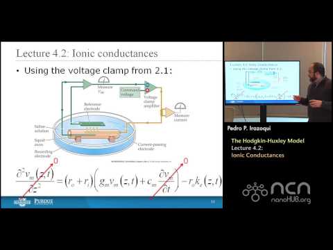 nanoHUB-U Bioelectricity L4.2: Hodgkin-Huxley Model - Ionic Conductances