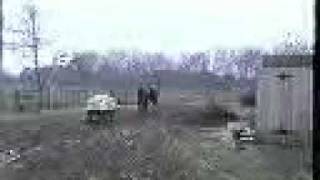 waltari pulling cart.mp4