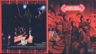 The Cryan' Shames - 1966 - Sugar & Spice [Full Album] HQ
