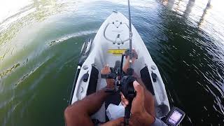 You win some,You lose some | Specks Sheephead and Bull Red