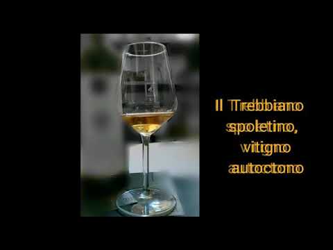 Il Trebbiano Spoletino