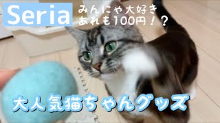 【100均】セリアの猫ちゃんグッズが最高すぎます 足長マンチカン まる Munchkin cat
