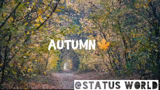 Autumn ( love quotes)