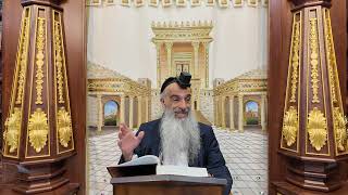 הרב מאיר דוד שמואלי - הלכות נטילת ידים קנ"ז - קנ"ח