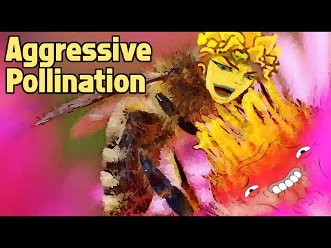 SMITE - Aggressive Pollination