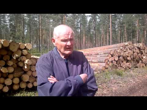 Onnistu puukaupassa!