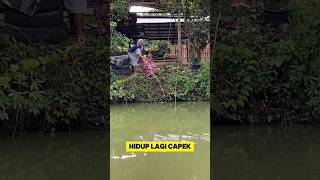 Download lagu momen lucu ketika ras terkuat di bumi mancing ikan bikin ngakak ‼️#emakemak #ikan #mancing #lucu mp3 Download lagu momen lucu ketika ras terkuat di bumi mancing ikan bikin ngakak ‼️#emakemak #ikan #mancing #lucu mp3