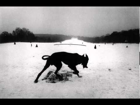 Will Oldham - All These Vicious Dogs