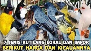Download lagu TUJUH JENIS KICAUAN BURUNG KUTILANG DI INDONESIA DAN IMPOR BERIKUT HARGA DAN SUARANYA mp3
