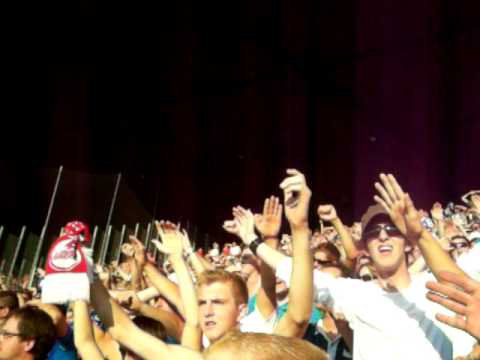 losc lille - krc genk (sfeer) 5