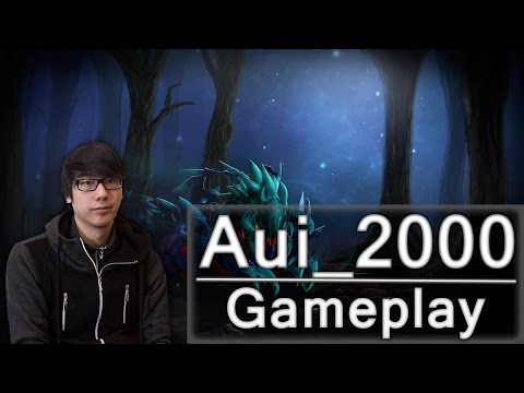NP.Aui_2000 Weaver Gameplay - Team NP
