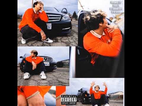 She Just Wanna (feat. Shawn Eff, Jayyr, D Summers & Some Irrelevant Fool) [Prod. PooWattaDo]