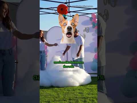 ในที่สุดก็เปิดเผยเพศของทารกแล้ว 💙👶 || #shorts  #viral  #viralshorts