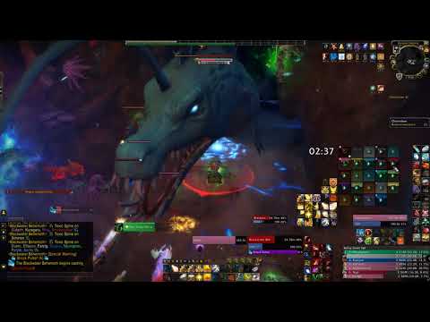 Heroic Blackwater Behemoth vs Apathy: The Eternal Palace (Holy Paladin PoV)