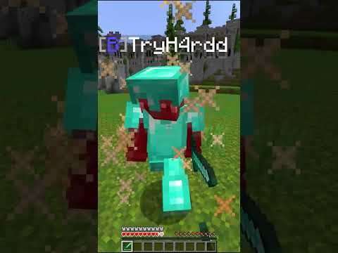 dueling minecraft's BEST players