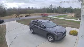 Video preview image #1 American Bulldog-Unknown Mix Puppy For Sale in Caribou, ME, USA