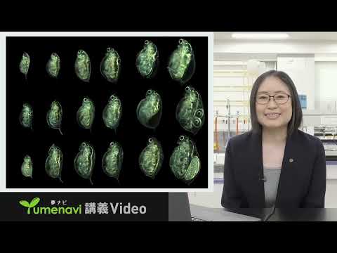 【バイオ環境学部】永野真理子先生／敵がいるなら「かたち」を変える ミジンコの防衛戦略（夢ナビ講義Video）