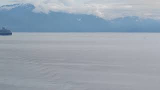 Ruby princess cruise in Alaska passing by other Cruise ship and gorgeous views 1