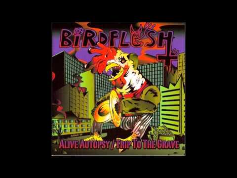 Birdflesh - The Return of the Blasphemous Birdgorilla