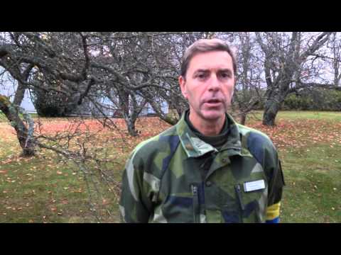 Försvaret av Gotland