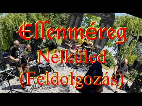 Ellenméreg - Nélküled (Feldolgozás)