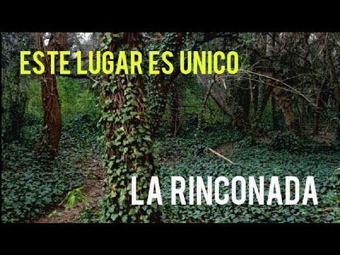 🌳 LUGAR ÚNICO de Córdoba!!! LA RINCONADA - 🌿 Parque Francisco Tau - BELL VILLE