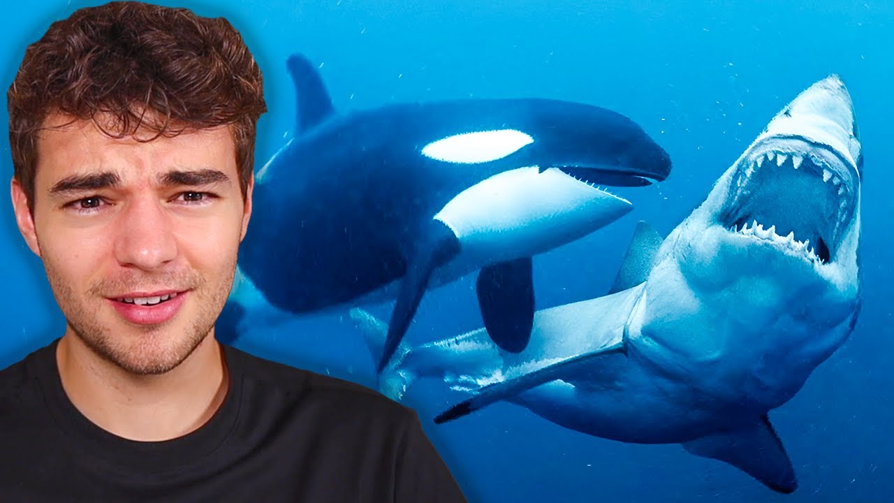 Nature is Terrifying