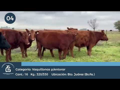 Lote VQ P/ Entorar Bto Juarez Bs As