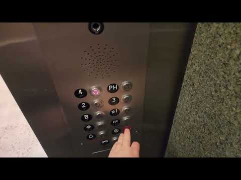 S22: Unknown Traction Elevators Payne Hall Arizona State University (ASU) Tempe, AZ