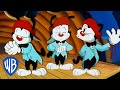 Animaniacs Wakko Makes Music With His Hand Classic Cartoon WB Kids