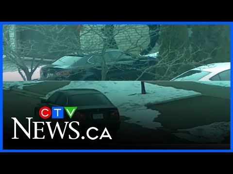 Barrie man arrested in connection with homicide and attempted murder investigation: OPP