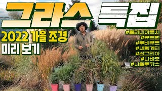 가을에 내 정원이 횡~한 느낌이 든다면 ?? 지금 당장 심어야죠!! 갈대, 억새, 그라스!!! . [JB가든…