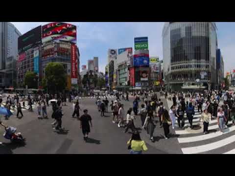 2025/05/14 Tokyo - Shibuya scramble crossing