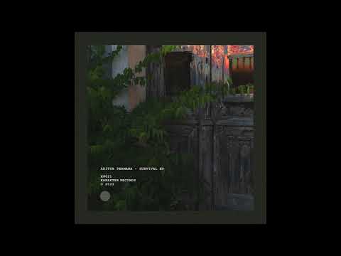 PREMIERE: Aditya Permana - PSM (Anatolian Weapons Remix) [Karakter Records]