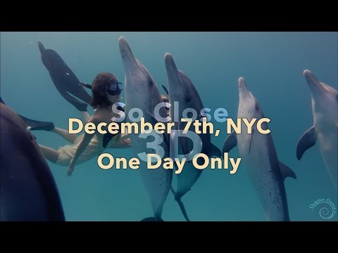 So Close 3D: Dance with Wild Dolphins - TRAILER