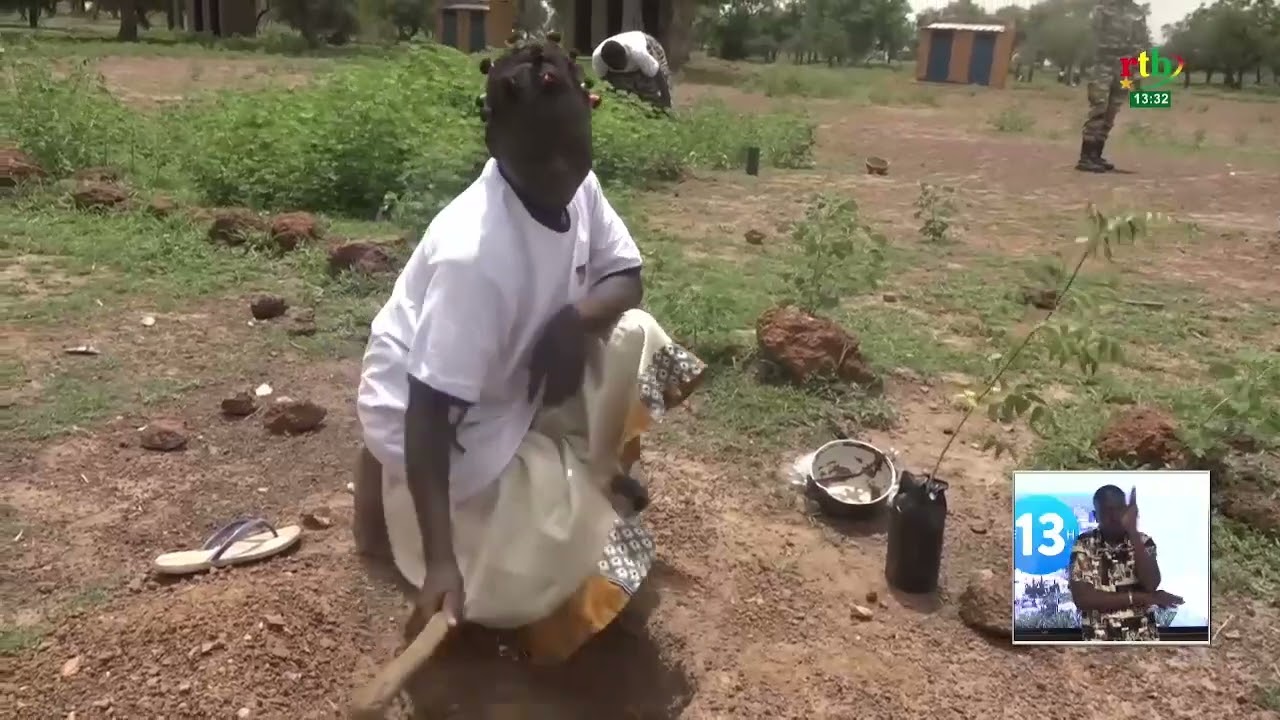 La société minière de Toega a procédé à la mise en terre de plus plusieurs plants de baobab