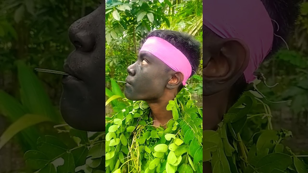 "Forest birds" #forestbirds #nature #birdsounds #entertainment #shorts #birds